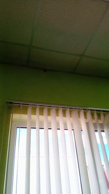что это за насекомка?!?!?!?!?!?! смотреть онлайн
