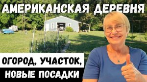 КАК ВЫЖИВАЮТ РУССКОЯЗЫЧНЫЕ НА ЗАГНИВАЮЩЕМ ЗАПАДЕ: Деревня в США. Огород, участок, новые посадки