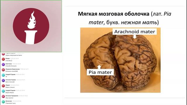 Вебинар: «Препараты линии PowerMatrix: MatrixCerebrum 4- аквабиотик оболочек мозга.»