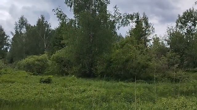 50:04:0271106:686 смотреть онлайн
