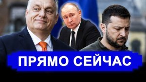 Разозлились все Кажется сработало У Зеленского подкосились ноги Оставил России щедрый подарок