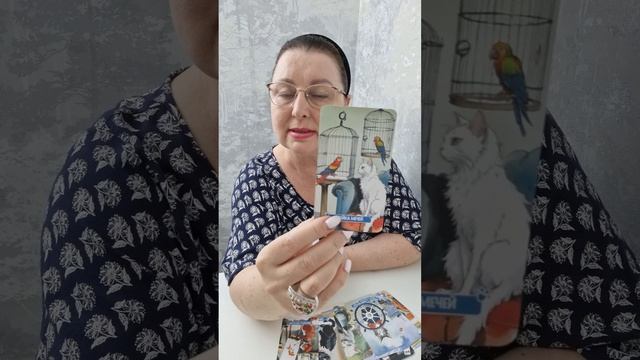 КОТЭ ПОШЕЛ НАЛЕВО...ЧТО ПРОИСХОДИТ В ЕГО ЖИЗНИ? | Гадание таро расклад смотреть онлайн