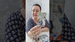 КОТЭ ПОШЕЛ НАЛЕВО...ЧТО ПРОИСХОДИТ В ЕГО ЖИЗНИ? | Гадание таро расклад
