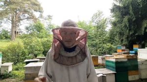 2 июня УБИТЬ ДВУХ ЗАЙЦЕВ