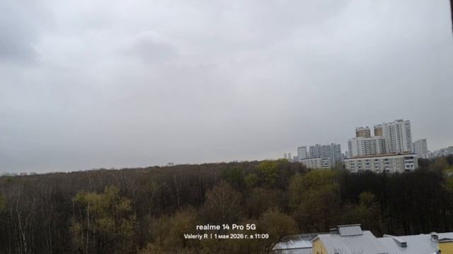 Москва, лесопарк Лосиный остров 01.05.2026