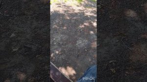 MOV_20260602_124715_811