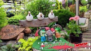 Май в саду и огороде: красота в деталях: актинидия,ясколка,жимолость» 🌿✨