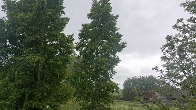 Дождь в начале лета!