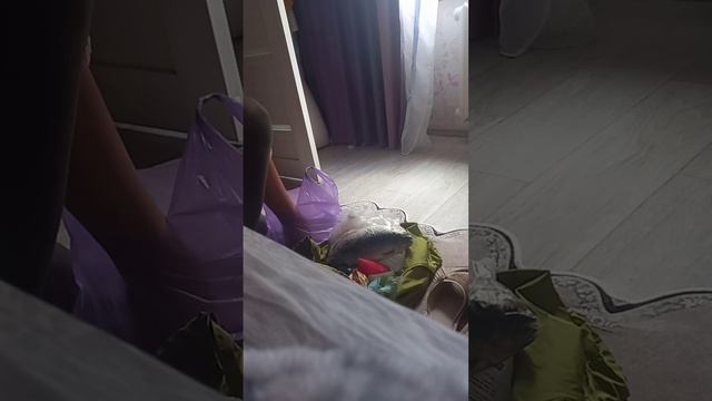 РАСПАКОВКА НА кровати , РЫБА, СЕЛЕДКА,ГУСТЕРА!!!!! смотреть онлайн