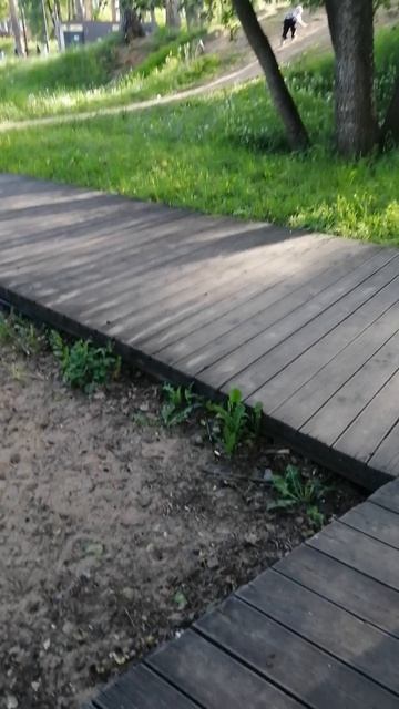 VID_20260601_173144.mp4 смотреть онлайн