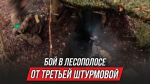 Бой в лесополосе от третьей штурмовой | Инструктор смотрит