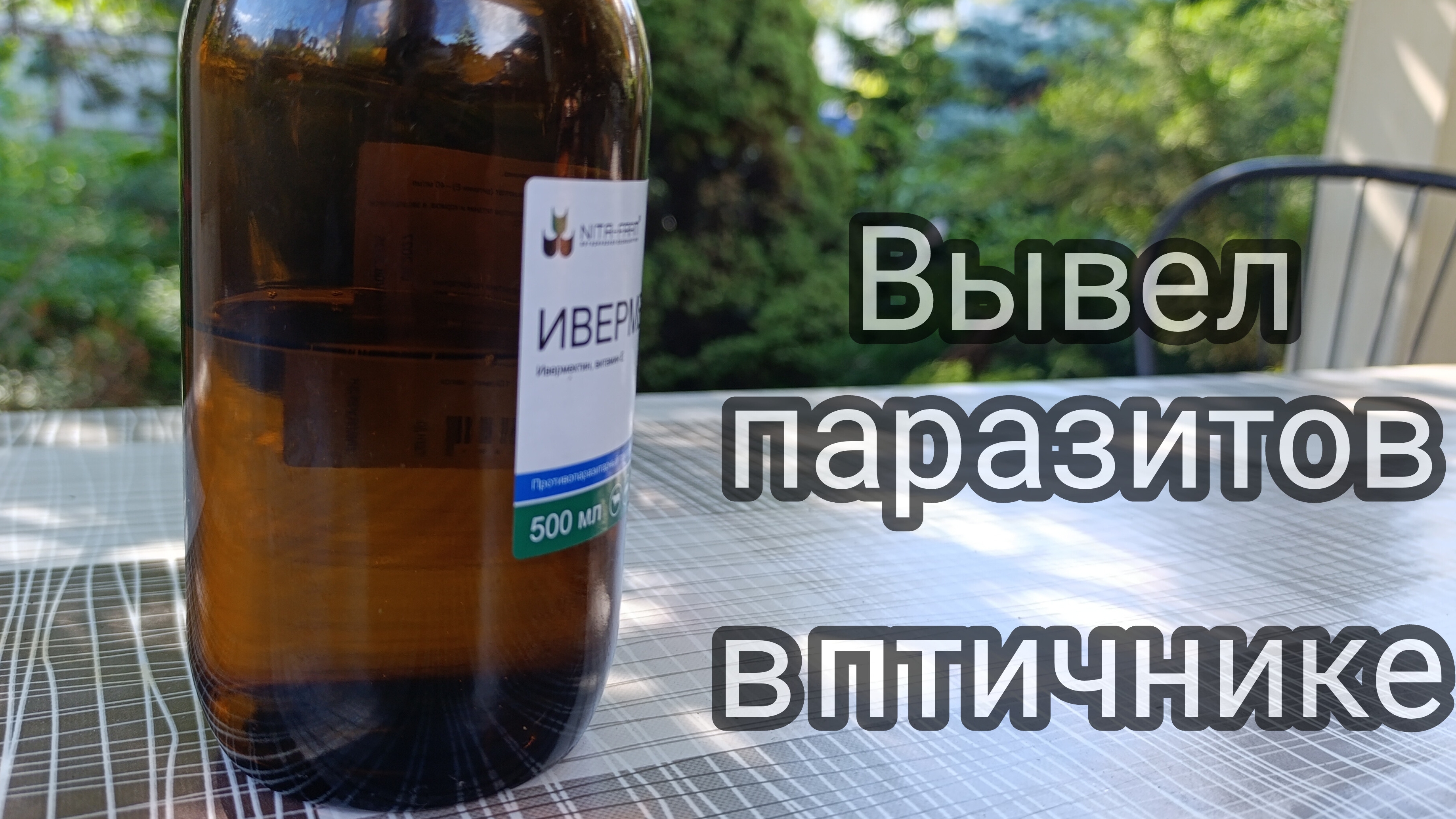 Средство от куриных блох.