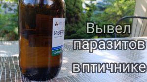 Средство от куриных блох.