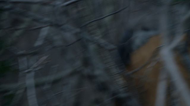 Чёрный список 2 сезон 12 серия «Семейство Кеньонов» (сериал, 2015)