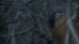 Чёрный список 2 сезон 12 серия «Семейство Кеньонов» (сериал, 2015)