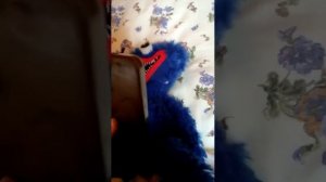 Леньки