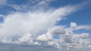 Случайно услышав про афёру мужа и любовницы, жена задумала наказать предателя! И вот, как...