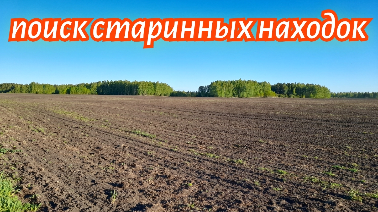 Трактор поднял монеты старинные находки на распаханном урочище