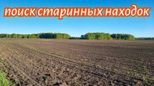 Трактор поднял монеты старинные находки на распаханном урочище