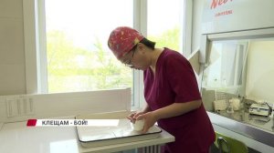 «Клещей бояться - на дачу не ездить»: как обезопасить себя от укусов?