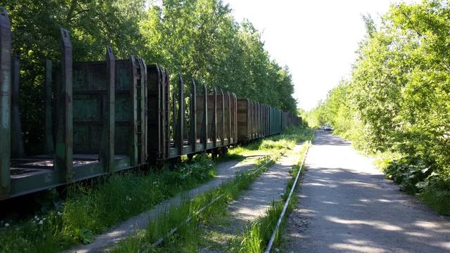 Остатки железнодорожных путей на Дальневосточном проспекте в Санкт-Петербурге