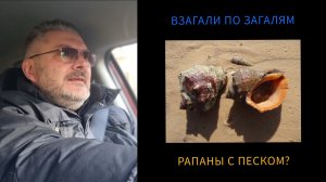 ВПЗ #1 «РАПАНЫ С ПЕСКОМ»⁉️ 26.10.23