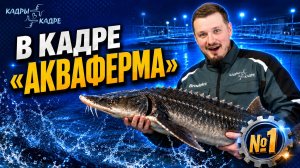 В кадре - Осетровая ферма Антона Алексеева. Тизер