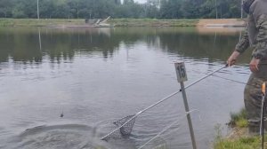 VID_20260602_121945