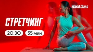 СТРЕТЧИНГ с Еленой Жиляевой | 2 июня 2026 | Онлайн-тренировки World Class