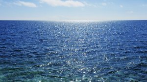Oceans Of Fantasy. Океаны фантазии