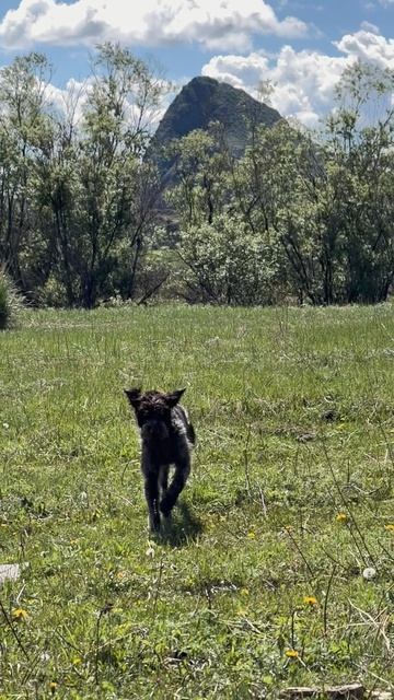 Умка бежит по травке… замедленное… погода ясная… 1 июня лето… смотреть онлайн