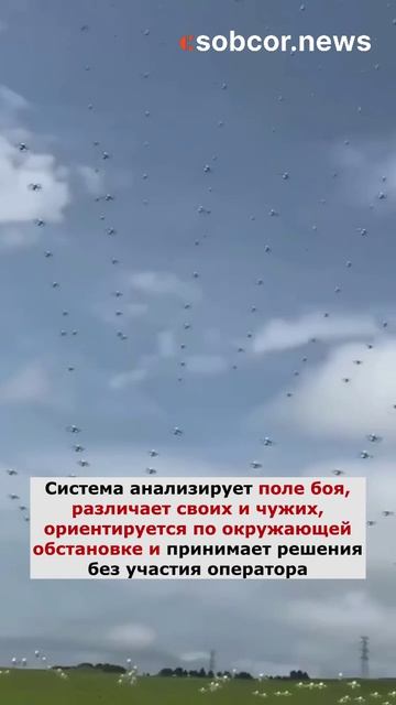 В Китае создали ИИ для «роя смерти» из дронов