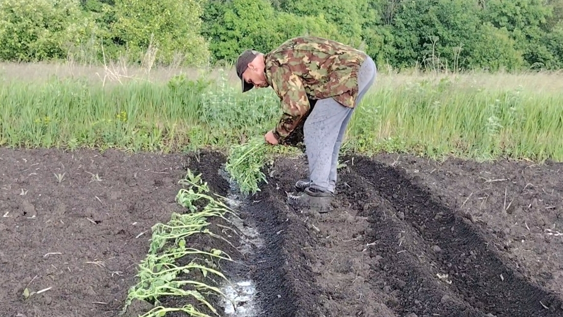 🎗️🌱🎗️ И зачем я только пошла🤦🎗️🌱🎗️