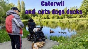 Caterwil коты собаки утки | 1 Год на Caterwil Ultra 4WD Horizont
