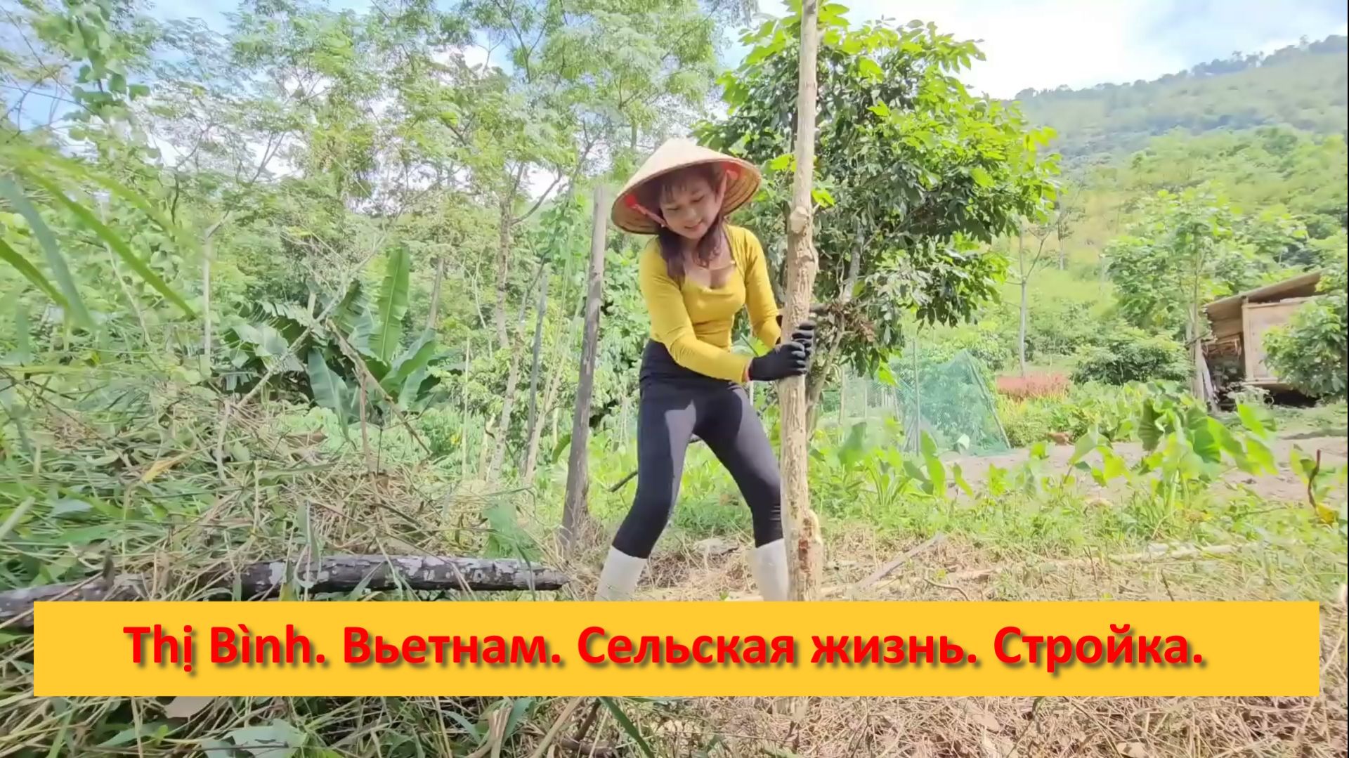 Thị Bình. Вьетнам. Сельская жизнь. Стройка.