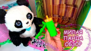 🐼 Распаковка САМОЙ МИЛОЙ Панды! 🎁 Обзор игрушек для детей