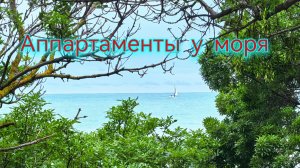 Жильё в Геленджике