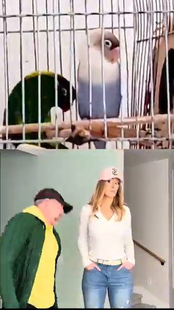 Здесь мы видим мужчину, занятого сложным и ненужным танцем #couplehumor.