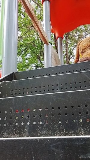 Паранормальный осёл был заснят на камеру