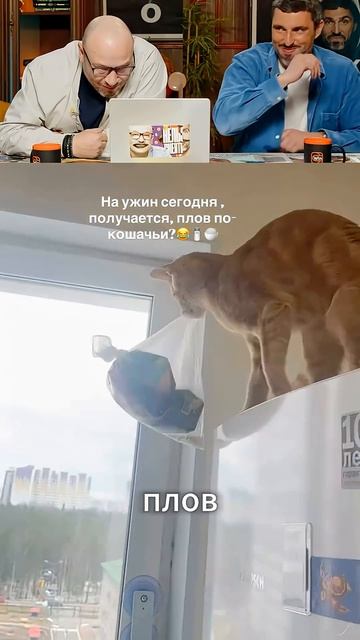 ЗАСМЕЯЛСЯ - ПОДПИСАЛСЯ! Ч.238😅 ПОПРОБУЙ НЕ СМЕЯТЬСЯ!