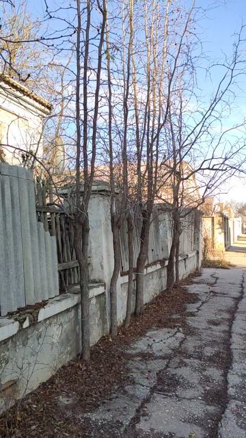 Вот такой день в городе Евпатория | 3 декабря 2021 | Крым  ХАН БАТОН XAH 6ATOH | VID_20211206_150730