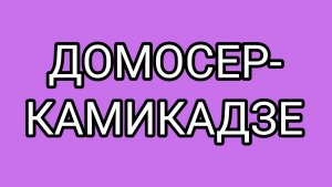 ДОМОСЕР готов всех полюбить!