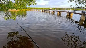 опус О НЕЗАДАЧЛИВОМ РЫБАКЕ И ХИТРОМ ОКУНЕ ловля на летнюю мормышку