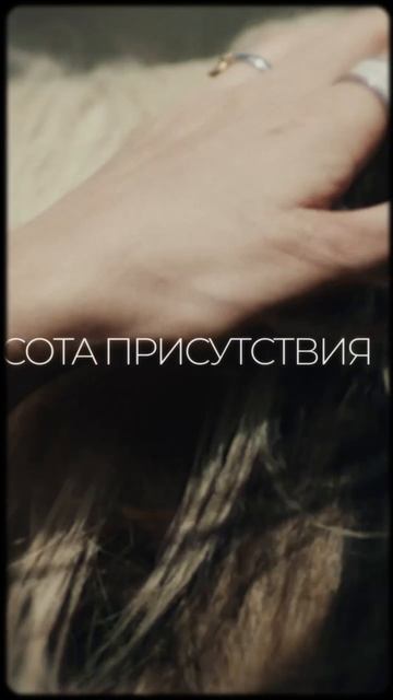 16858909837886