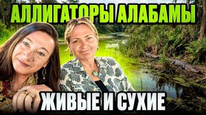 🗽🌴ПЛЯЖ, АЛЛИГАТОРЫ И ДИКИЕ ПОКУПКИ В АЛАБАМЕ!🐊🐊