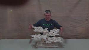 Декорация 200326
