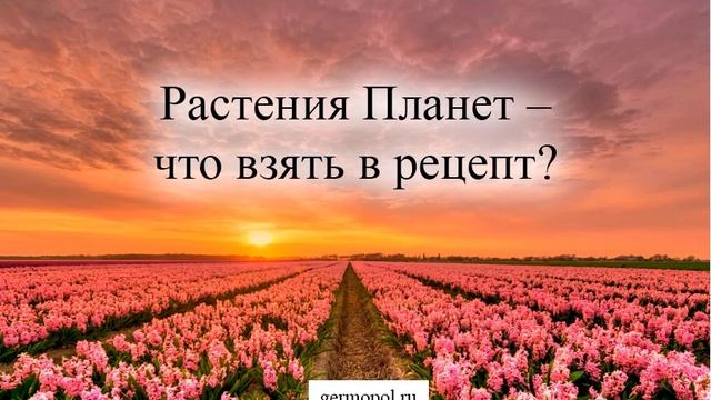 Растения Планет – что взять в рецепт