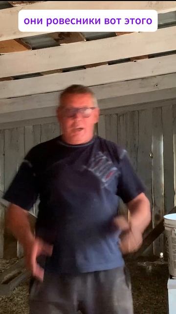 КАК ТАКОЕ ВОЗМОЖНО?! Ровесники, а разница в 2 раза! 😱🐑