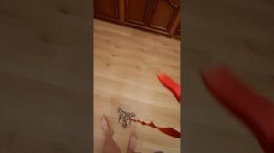 1000093238.mp4
