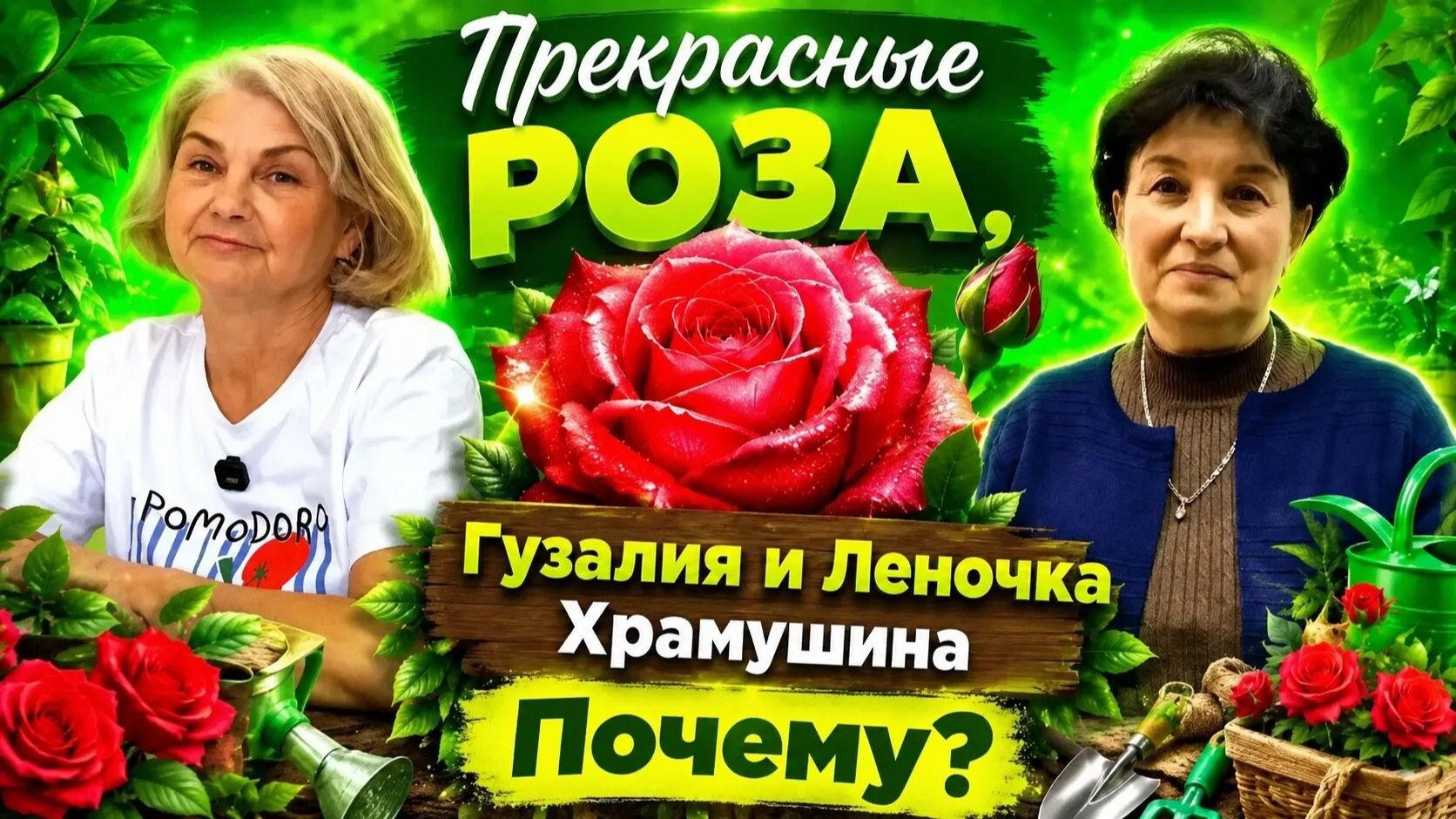 Роза, мы тебя спасем! Пошаговая инструкция, как оживить куст прекрасной розы